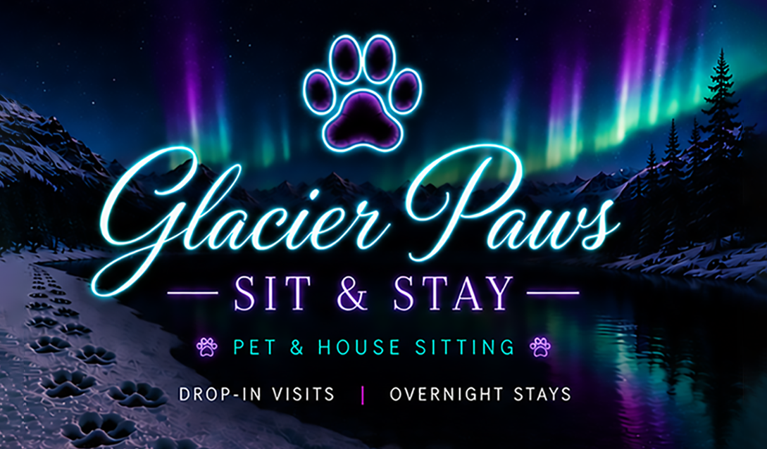 Glacier Paws northern lights mountain banner